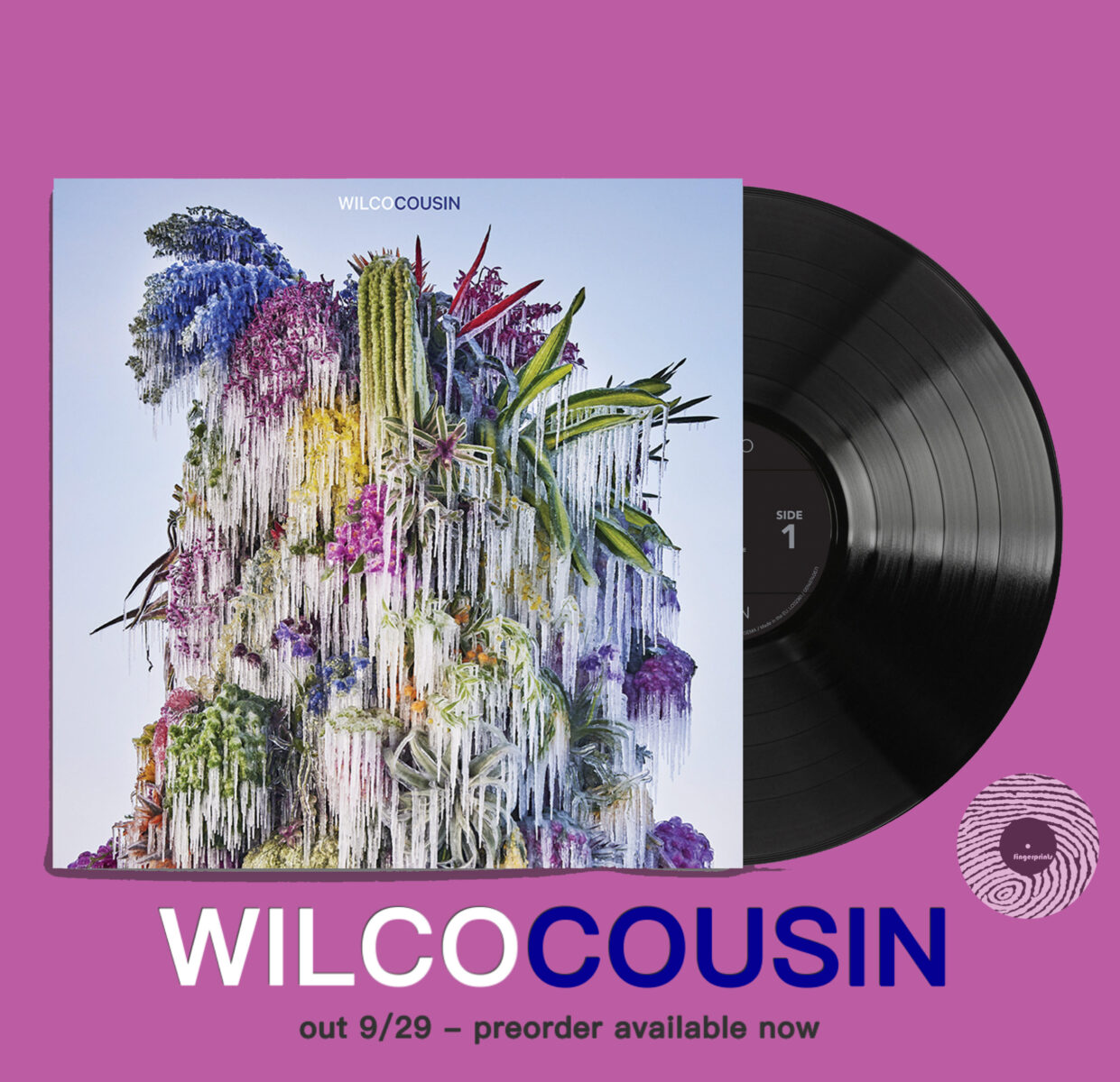 Wilco album Cousin comes out 9/29
